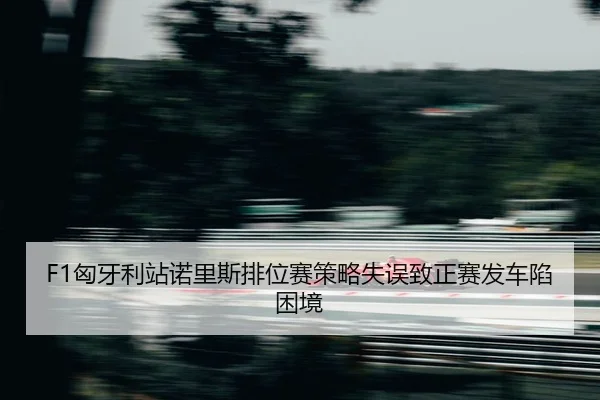 xiong-ya-li-zhan-nuo-li-si-pai-wei-sai-ce-lve-shi-wu-zhi-zheng-sai-fa-che-xian-kun-jing-2-927.jpg