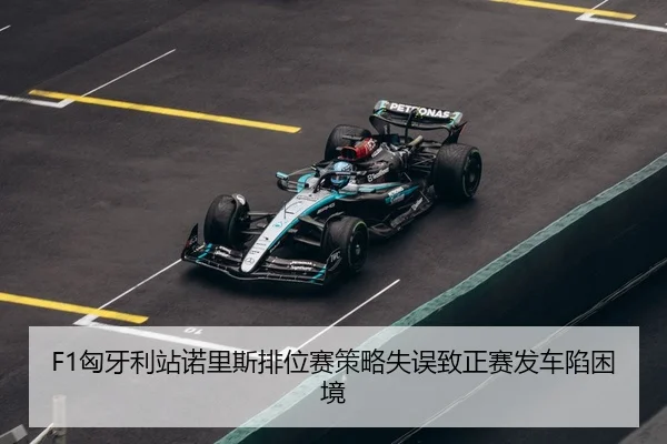 xiong-ya-li-zhan-nuo-li-si-pai-wei-sai-ce-lve-shi-wu-zhi-zheng-sai-fa-che-xian-kun-jing-3-614.jpg