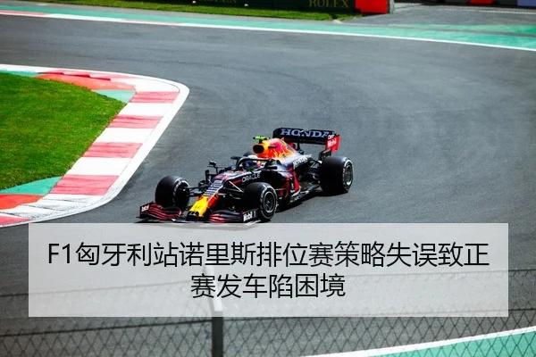 F1匈牙利站诺里斯排位赛策略失误致正赛发车陷困境